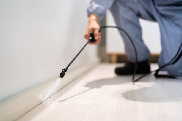 Bed Bug Pre-Treatment Preparation Assessment in South Pasadena