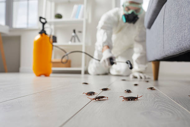 Post-Treatment Bed Bug Interceptor Monitoring in South Pasadena