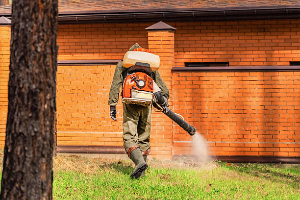 Bed Bug Clearance Verification and Documentation in South Pasadena